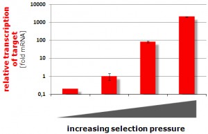 Recombinant Target Expression and RNAi-Mediated Target Knockdown