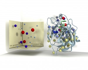NMR - Biophysical Techniques in Drug Discovery