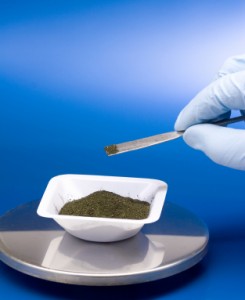 Particle Size
