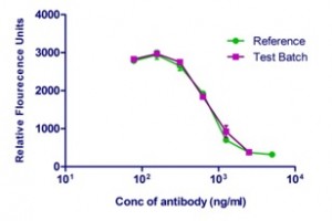 Complement-dependent cytotoxicity (CDC) assays