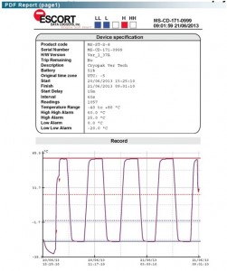 Downloadable PDF report