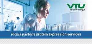 Pichia Pastoris Protein Expression Services
