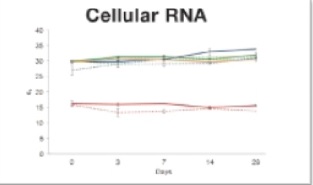Cellular DNA-RNA from human whole blood is effectively stabilized in DNA-RNA Shield™ at ambient temperatures