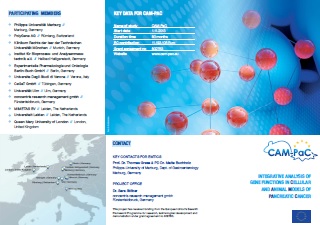 Gene Functions in Cellular and Animal Models of Pancreatic Cancer