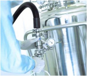 cGMP Production