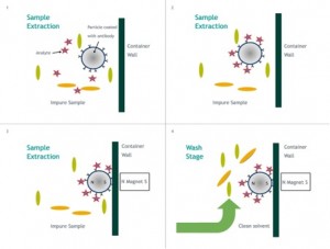 Schematic of four-step analyte magnetic separation