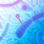 Bacteriophage Contamination in Fermentation – Your Questions Answered