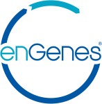 Study indicates enGenes Biotech’s Shiga Toxin B subunits useful as drug carriers in cancer therapy