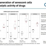 Evercyte senolytic and senomorphic drug testing using cell-based assays