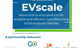 Evercyte teams with Phoenestra and TAmiRNA to offer EVs at scale