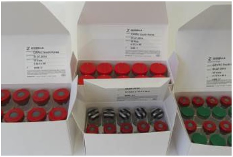 Case Study: Fast tracking NTx TopLoading concept into action in South Korea