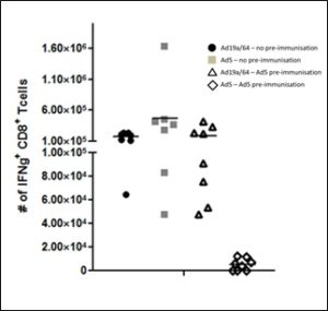 Mice were treated with Ad5 or Ad19a/64 vectors carrying the genetic code for a defined antigen as vaccination target. In two groups (Triangles and diamonds) the animals received a round of Ad5 particles before the treatment. Immunization success 10 days post-application was measured by determining IFNg+ levels in the spleens of all animal groups. Pre-immunization against Ad5 shut down its performance (diamonds), while Ad19a/64 was undisturbed by the pre-immunization event