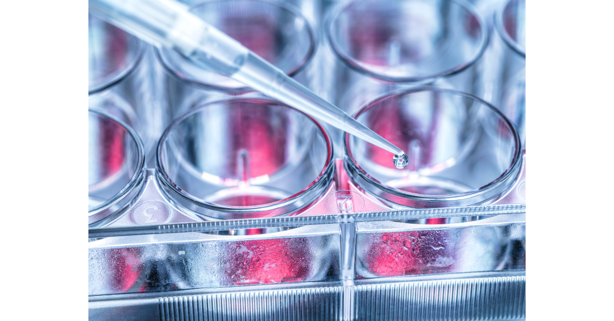 BioPharma Safety Assays