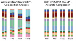 Figure 1. Microbial composition of stool is unchanged after one month at ambient temperature with DNA/RNA Shield™. Stool samples suspended in DNA/RNA Shield™ and stored at room temperature were compared to stool without preservative for one month. They were sampled at the indicated time points and processed with ZymoBIOMICS™ DNA Mini Kit. The extracted DNA was then subjected to microbial composition profiling via 16S rRNA gene targeted sequencing. Samples stored with DNA/RNA Shield™ had a constant microbial composition while the samples stored without DNA/RNA Shield™ shifted dramatically