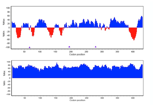 Example 2: Course of relative codon index values along a bacterial gene sequence. In red: mid to low frequency codons, in blue: higher to high frequency codons (upper image) pre codon calculations (lower image) after codon calculations
