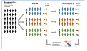 Study Design: 30 healthy individuals randomized to three groups, comparing samples taken at baseline and after 7-day course of treatment. For analysis, 5 samples per group were pooled and used for RNA extraction