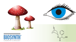 Atropine is derived from poisonous plants and yet forms a potent anti-toxin treatment