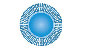 Each TRANSIL Microsomal Binding bead includes a single lipid bilayer reconstituted from synthetic lipids resembling a natural composition of human liver micromes