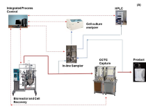 Applikon Biotechnology’s leading role in continuous processing