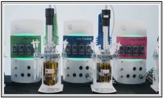 Applikon Mini Bioreactor