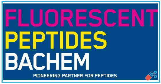 Fluorescent peptides and amino acids