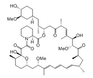 Prerapamycin, unbound product of a type I polyketide synthase (PKS) in conjunction with a nonribosomal peptide synthetase (NRPS)