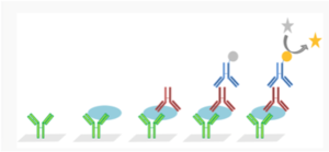 In ELISA, AquaSpark™ Alkaline Phosphatase Substrate is added and immediately converted by the enzyme to produce a detectable light signal.