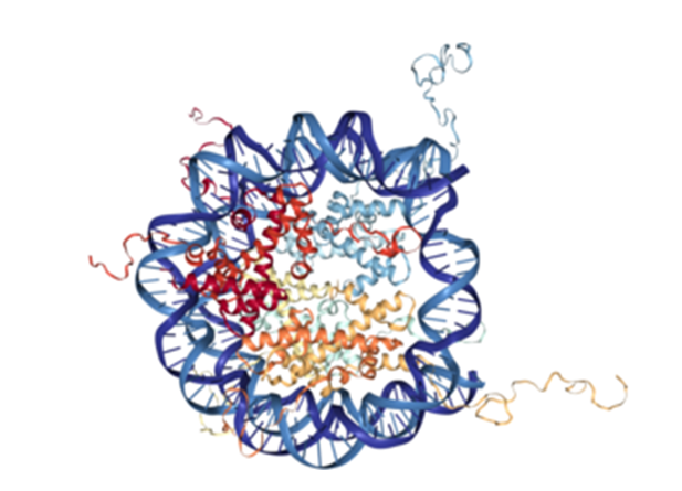 Histone peptides