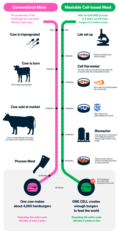 Applikon supports CLEANMEAT project to transform the world’s diet