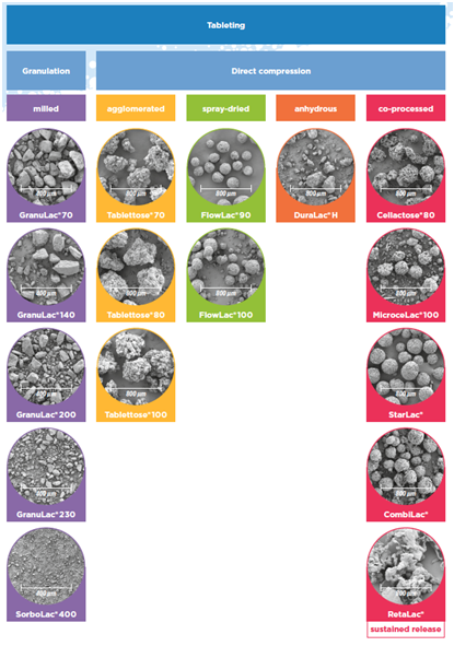 MEGGLE co-processed excipients