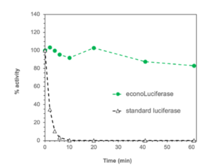 Comparative stability of econoLuciferase™ and wild-type firefly luciferase: Biosynth’s econoLuc shows significantly improved stability; e.g. after 60 min incubation at 37°C econoLuci retains >80% of its initial activity, while the wild type luciferase is completely inactivated after 10 min.