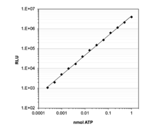 High sensitivity and performance: ATP standard curve with econoLuc. shows signal linearity over a wide ATP concentration range. Using Biosynth econoLuc and luciferin, bioluminescence signal shows linear correlation to ATP concentrations from 0.2 fmol to 1 nmol.