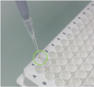 econoLuciferase™ - a green-colored solution for easy pipetting