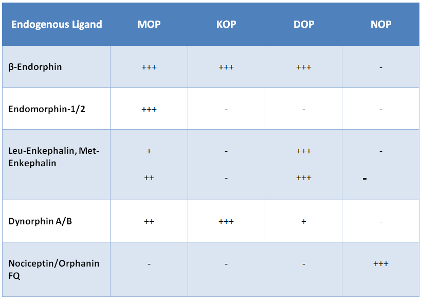 Opioid peptides Pharmaceutical Networking