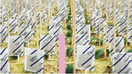 45721Case Study: Rotronic RMS with robust HygroClip probes meet biocontrol challenges at Bioline