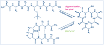 Cyclic peptides