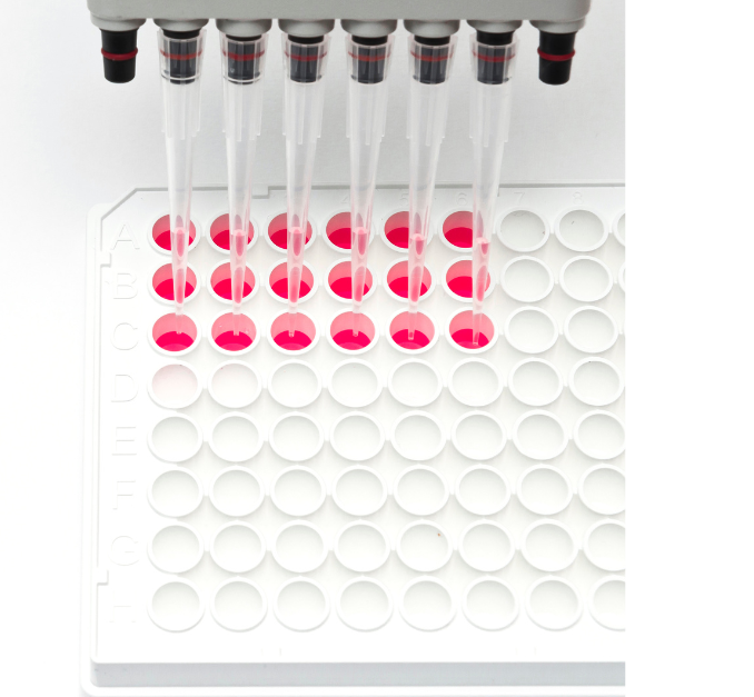 Bioassay method development and validation