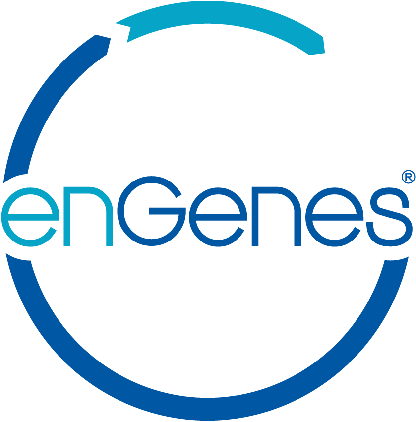 Cost-effective recombinant protein production with enGenes-e<sup>X</sup>press
