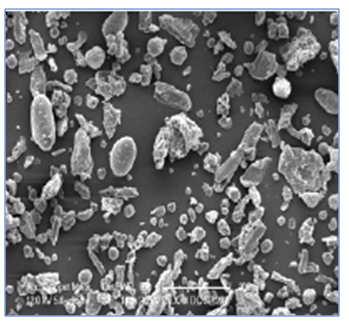 Pharmatrans DICOM SANAQ SP204 proprietary excipient for Direct Compression containing alkaline agent