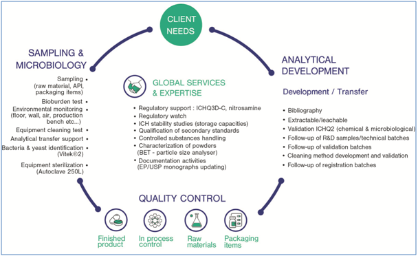 Skyepharma Analytical Services: Specialized teams