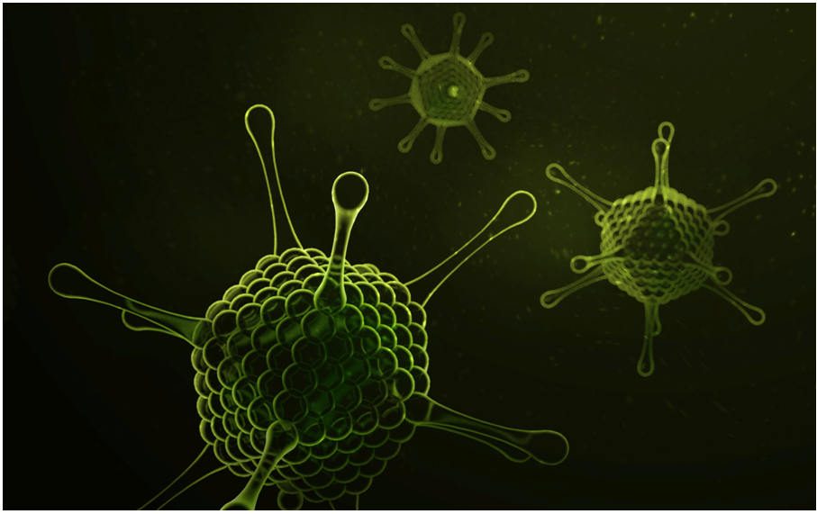 49751SIRION Biotech Transient Adenovirus Development