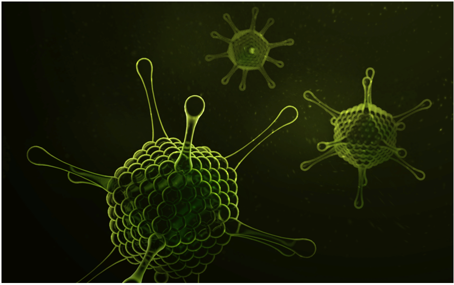 SIRION Biotech Transient Adenovirus Development