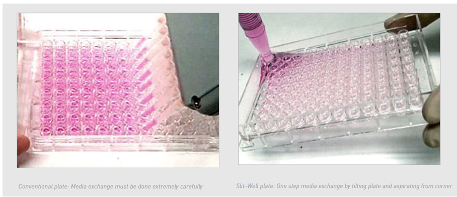 PHCbi PrimeSurface® 3D Cell Culture solutions