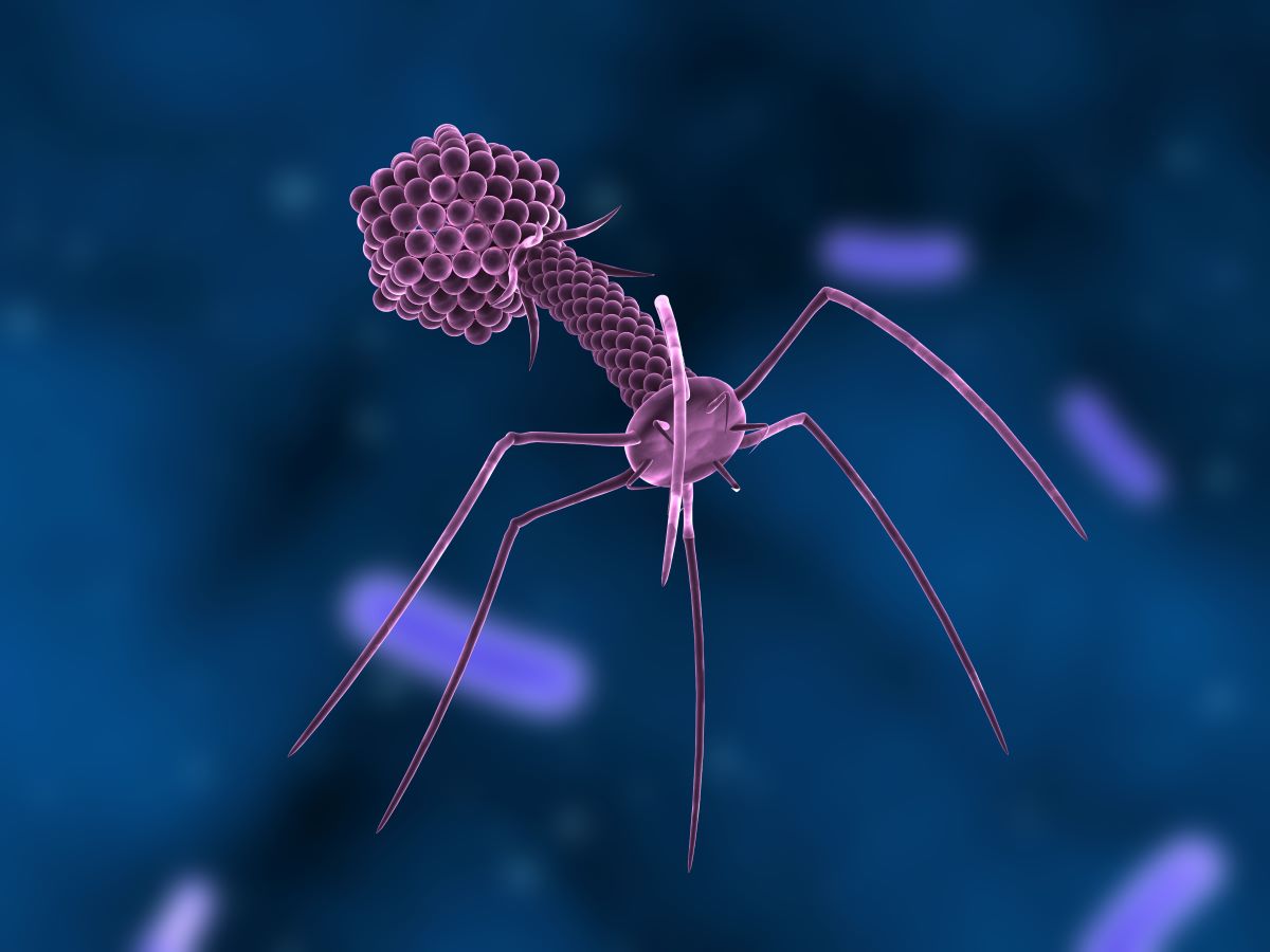 Phage testing and therapy from Phage Consultants