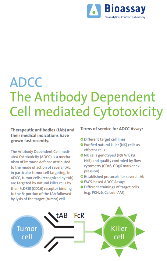 Antibody dependent cell cytotoxicity (ADCC)