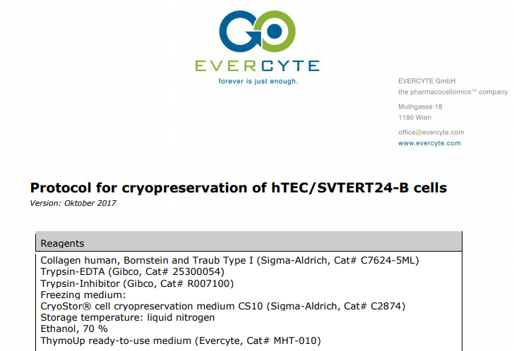 Cryopreservation of hTEC/SVTERT24-B cells – Protocol