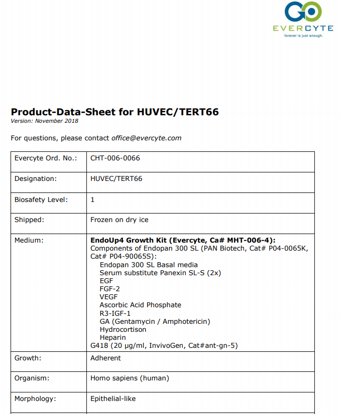 HUVEC/TERT66 – Product Data Sheet