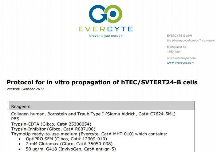 In vitro propagation of hTEC/SVTERT24-B cells – Protocol