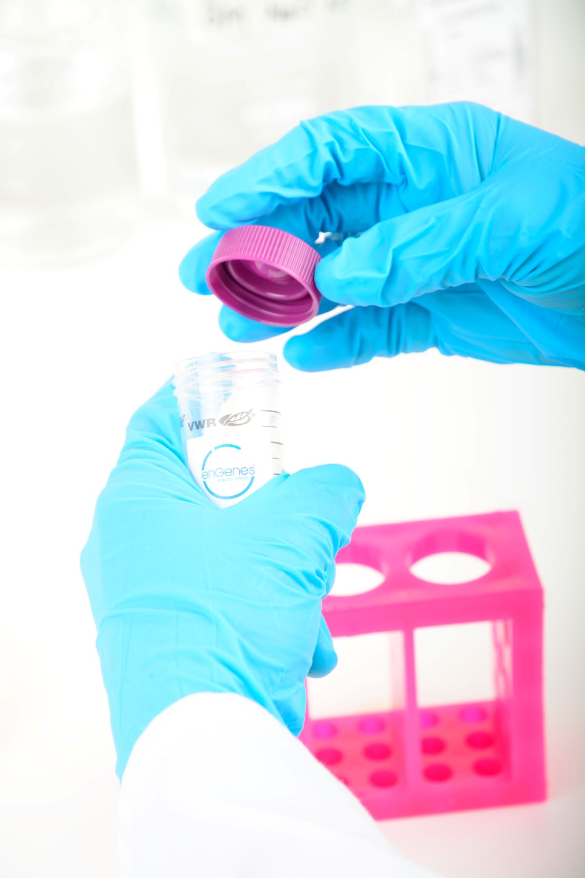 Cost-effective recombinant protein production with enGenes X-Press