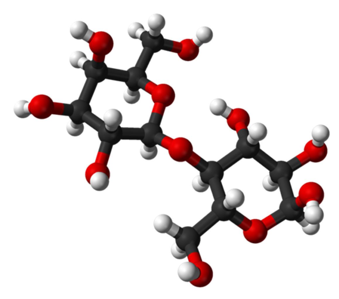 MEGGLE Pharmaceutical grade lactose – Made in Germany